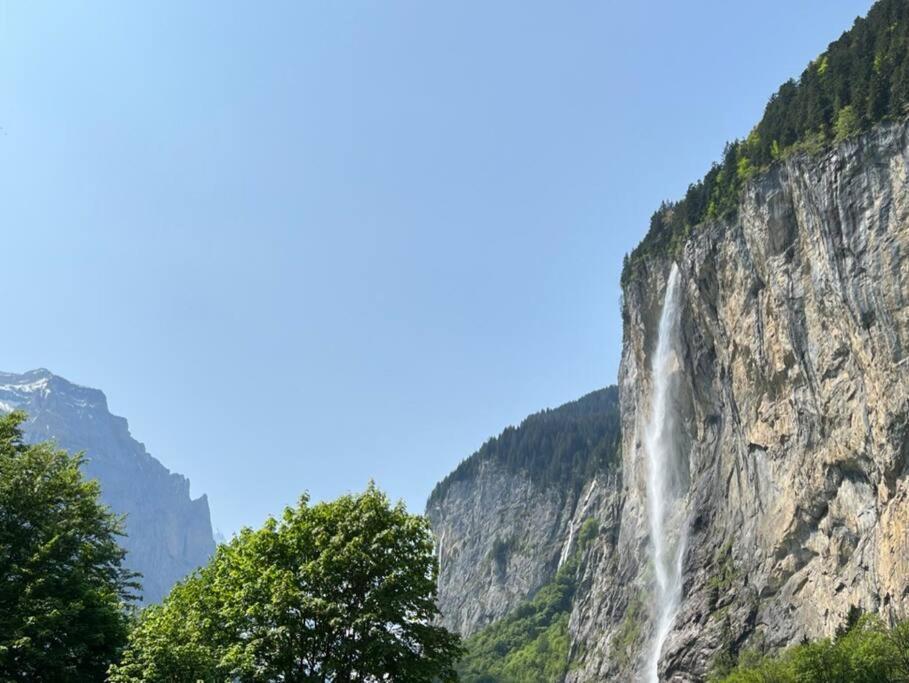 Chalet Maithili Lauterbrunnen -152-Year-Old Majestic Chalet Kültér fotó
