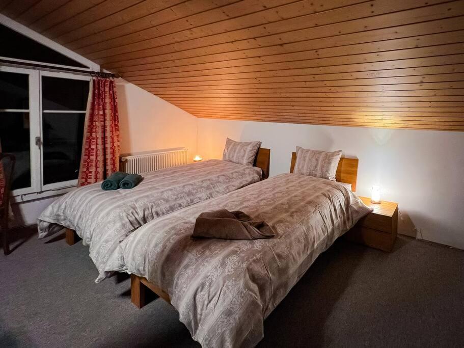 Chalet Maithili Lauterbrunnen -152-Year-Old Majestic Chalet Kültér fotó